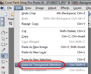 Paint Shop Pro Paste Transparent Selection