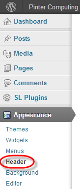 WordPress Theme Header Change Select