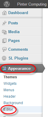 wordpress appearance editor select