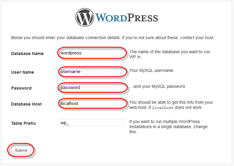 WodrPress Setup Config Enter Values