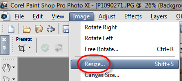 Paint Shop Pro Resize Select