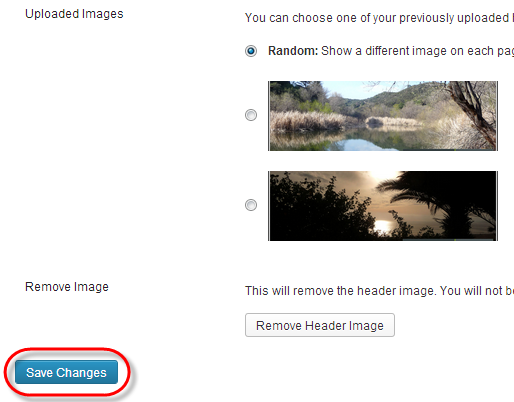 WordPress Theme Header Change Save Changes