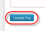 wordpress theme editor update file