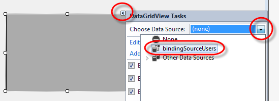 Visual Studio DataGridview select binding data source